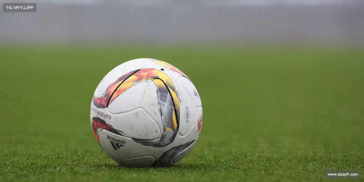 利来国国际APP——🥊拳力以赴！释放压力，格斗课程点燃你的斗志🔥